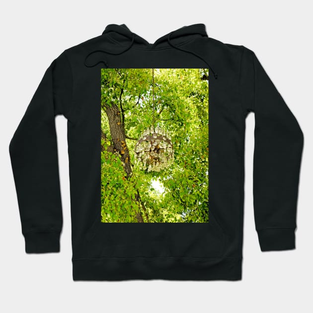 Chandelier Tree Study 1 Hoodie by bobmeyers